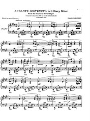 sostenutoページ Sonata No.21. Andante sostenuto, D.960 by Franz Schubert sheet